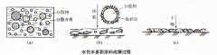 揭秘水包水多彩仿大理石效果实现原理？